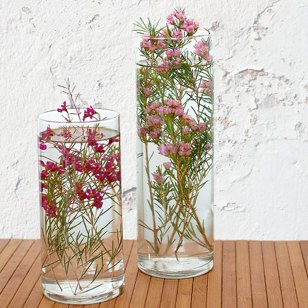 Glass Cylinder Vase 10.5"