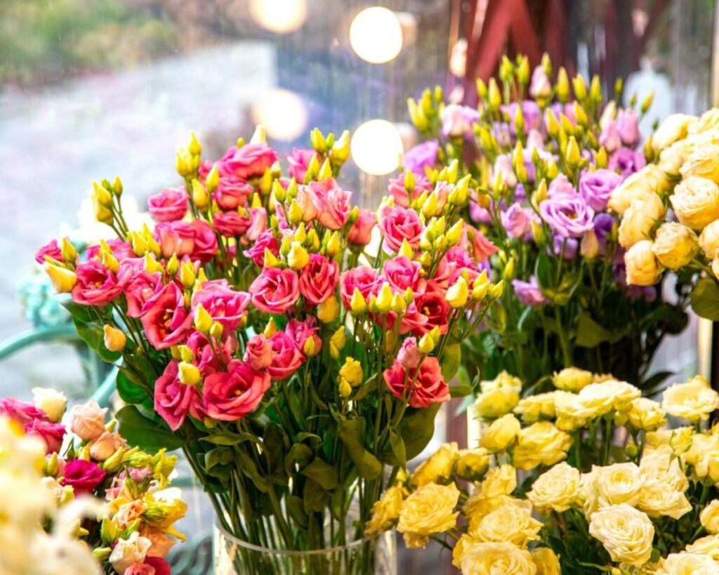 florist castlecrag