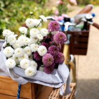 Castlecrag Florist: Top Picks for Stunning Floral Bouquets