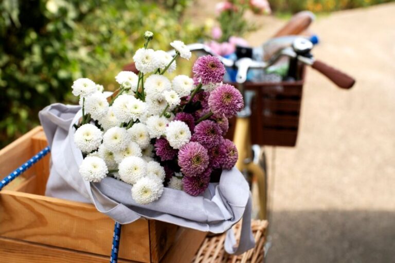 florist castlecrag